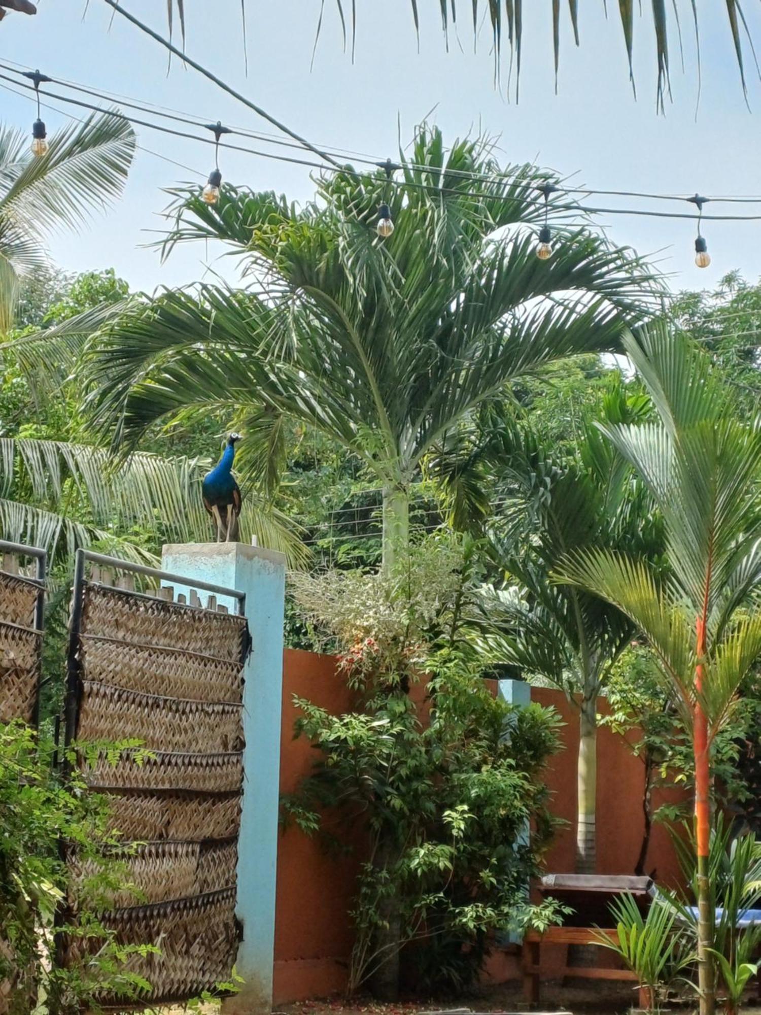 Turtle Island Cabana Tangalle Exterior photo